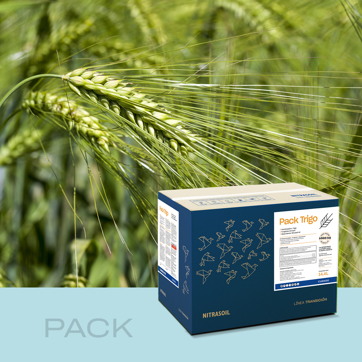 Pack trigo